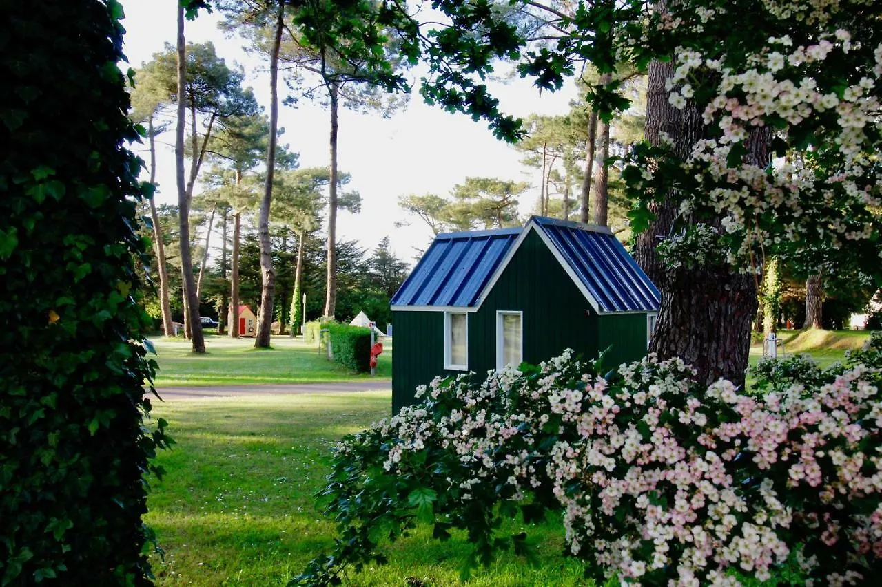 Tiny House Et Tentes En Coton Dans La Pinede Hotel Erquy Campsite